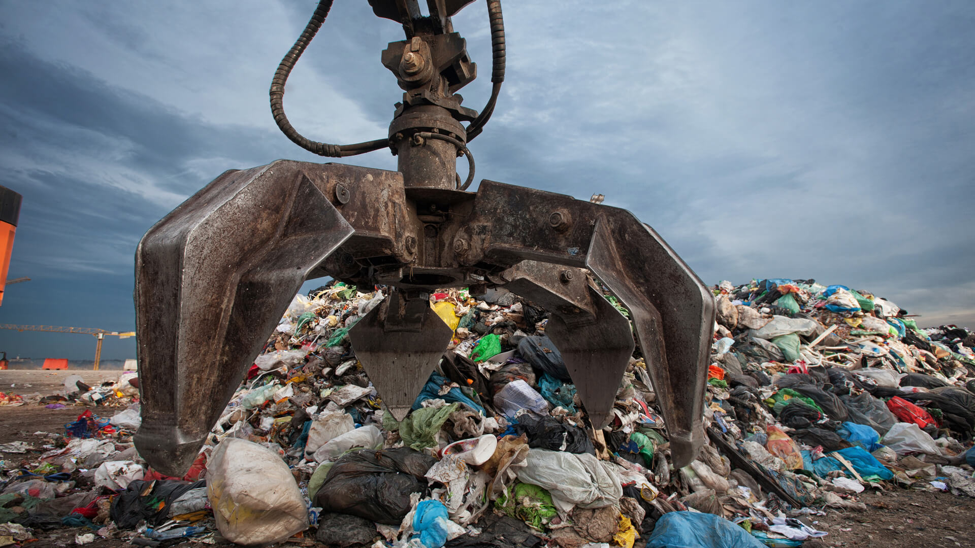 Shredder for Destruction of Plant Waste for Industrial Composting